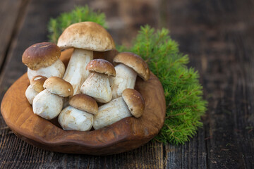 Mushroom Boletus edulis over Wooden Background, close up on wood rustic table. Cooking delicious organic mushroom. Gourmet food