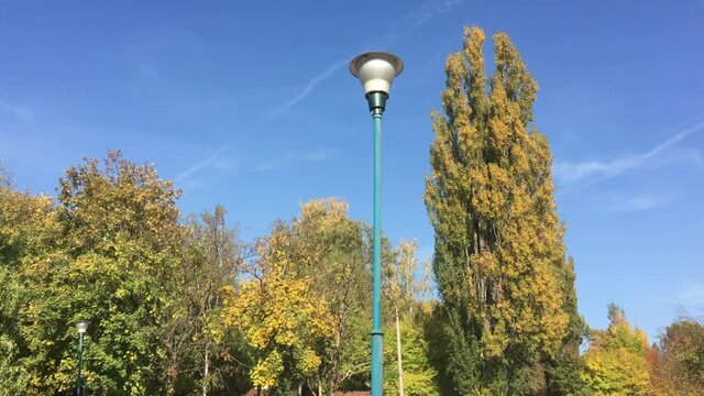 Incredibly blue sky over yellow trees