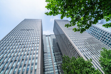 Obraz premium modern office building with green leaves.