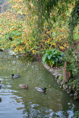Parc en automne à Nantes