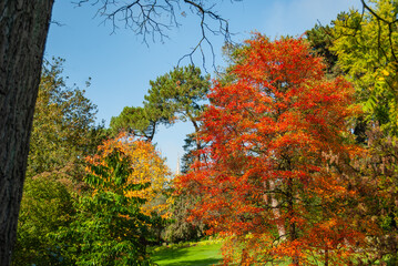 Couleurs d'automne à Nantes