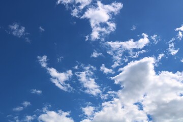 空　雲　夏　杤木