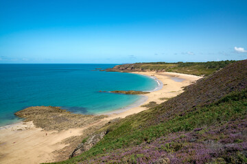 idyllic wild secluded beach with turquoise water and lilac heath meadows
