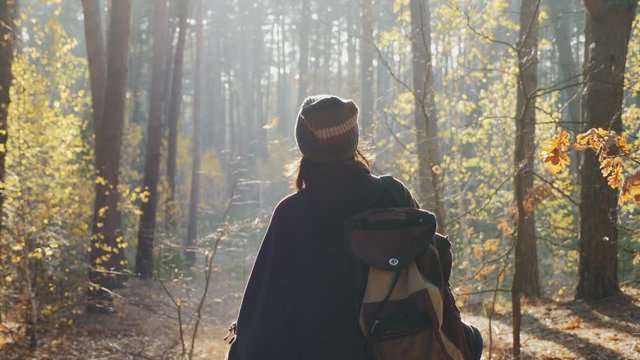 Rear view: Woman tourist walking in the fall forest on a sunny autumn day, slow-motion 4K, middle shot