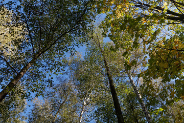 Park zdrojowy