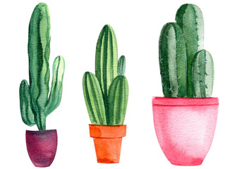 watercolor cacti on a white background, decorative drawings, abstract plants