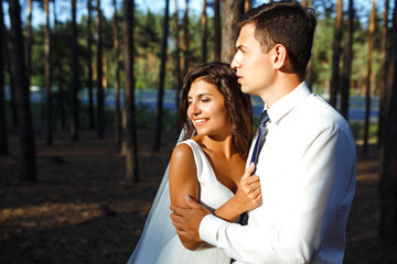 Naklejka premium A happy newlywed couple of the bride and groom are walking on nature in a green forest. The bride and groom hug and kiss.Together. Young family. Marriage. Wedding concept.