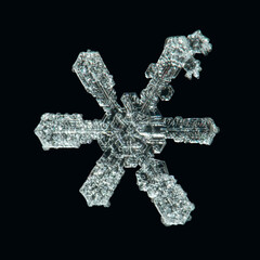 real snowflake 