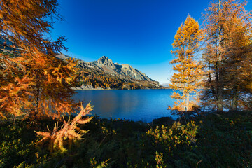 Autumn colors in the Swiss Engadine valley