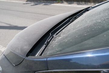 Obraz premium ボンネットの上に積もる火山灰