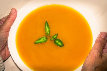 woman holding bowl of vegetable soup