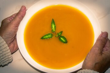woman holding bowl of vegetable soup