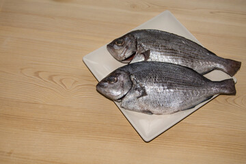 fresh fish, sea bream on the plate
