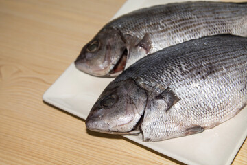 fresh fish, sea bream on the plate