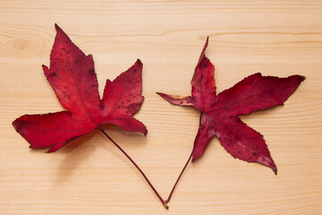 dried leaves on wooden background