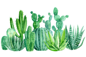 watercolor cacti on a white background, decorative drawings, abstract plants