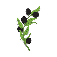 Obraz na płótnie Canvas Olive branch vector illustration