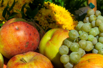 All the fruits of fall