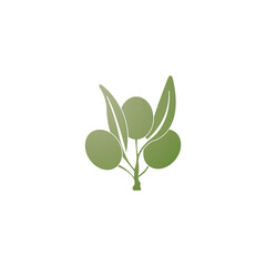 Olive branch vector illustration