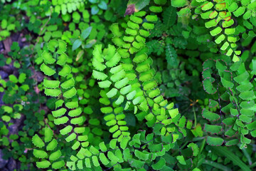 lose your eyes and imagine the sunrise over a wide-open country field, morning rain glistening on forest trees, and snow-covered mountaintop peaks. Yes, nature is absolutely breathtaking, which is why