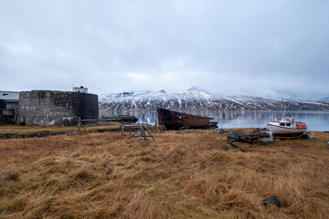 Fototapeta na wymiar Die Ortschaft Djupavik in den isländischen Westfjorden.