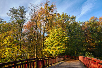 Fototapeta na wymiar Wooden bridge in the city park during autumn in Poznan.