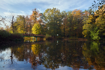 Fototapeta na wymiar pond with Wooden bridge in the city park during autumn in Poznan.