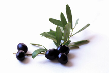 Black and green olives in branch on white background.