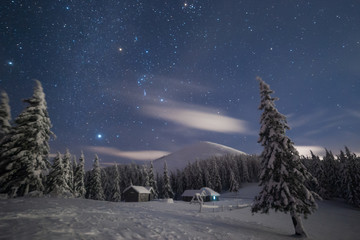 Night snowy forest and bright stars