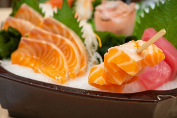 Raw salmon sashimi slice on ice Japanese food