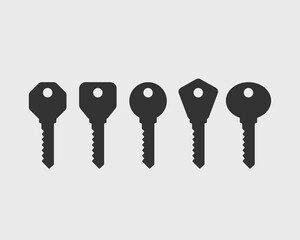 Key icon vector. Keys symbol flat design.