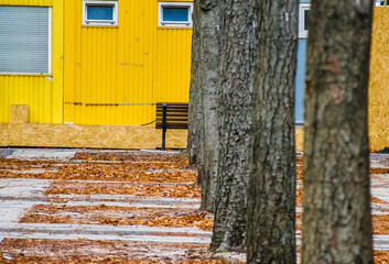 Yellow wall and bench with tree trunks lined in parallel as foreground. This is a fall concept photo. Loneliness is the feeling. 