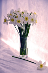 A bouquet of white flowers of a white daffodil close-up are on a white background.