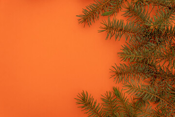Obraz premium Decoration for Christmas and New Year Greeting Card. Several Green Branches Forming Semi Circle on Orange Background. Copy Space on The Left Side.