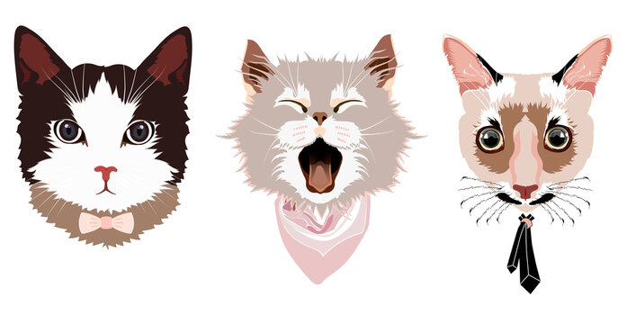 Portraits of three cats: a cat with a bow tie, yawning  cat with a scarf, a cat with a tie, sketch vector graphic color illustration on white background