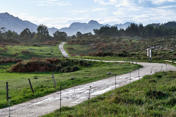 camino de tierra atravesando una pradera en dirección a las montañas 
