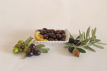 Black and green olives in branch on white background.