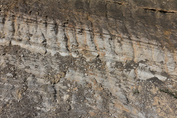 Stone texture