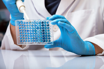 Biologist pipetting samples in micro plate in the laboratory / Scientist in lab holding a 96 well plate with biological samples for analysis - obrazy, fototapety, plakaty