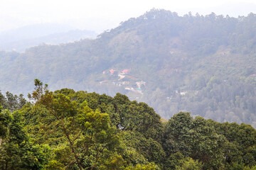 Fototapeta premium View of Dense Forest Trees and Mountains in Fog from Servaroyan View Point Yercaud Hill Station Tamil Nadu India