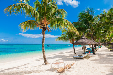 Chairs and umbrella at palm beach - Tropical banner