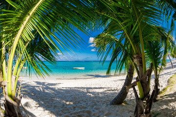 Fototapeta na wymiar Palm luxury beach with coconut palms, sand and ocean. Tropical holiday banner