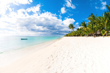 Tropical beach with ocean, white sand, coconut palms