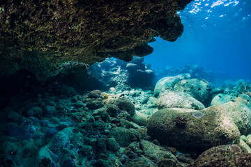Underwater scene with rocks and stones. Tropical ocean