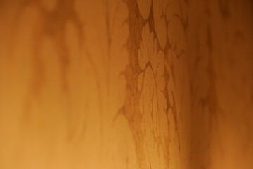 Orange Colour and Dark Patterned Shapes