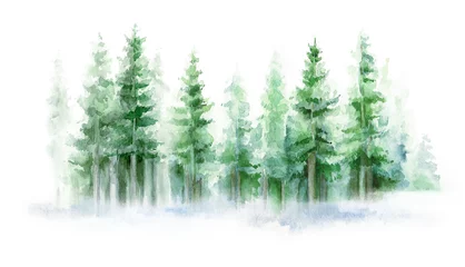  Green landscape of foggy forest, winter hill. Wild nature, frozen, misty, taiga. Winter watercolor background © Leyasw