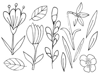 Easter flowers, set of line drawing, doodle style. Elements for packaging design and greeting cards.