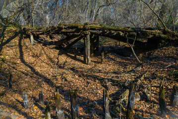 Fototapeta na wymiar Very old wooden bridge grown with autumn moss