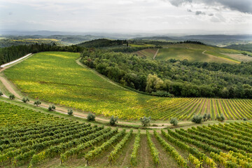 Fototapeta na wymiar toscane 2