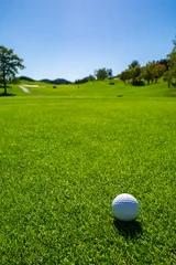 Poster Golf Course with golf ball. Golf course with a rich green turf beautiful scenery.  © okimo